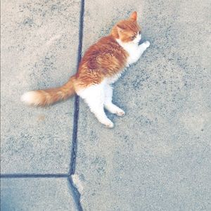 Meet your Posher, Kelly